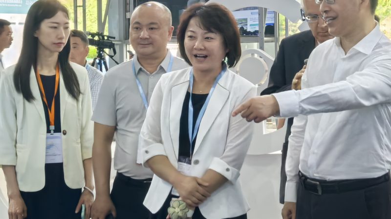 汽车配件定制流程与标准解析
